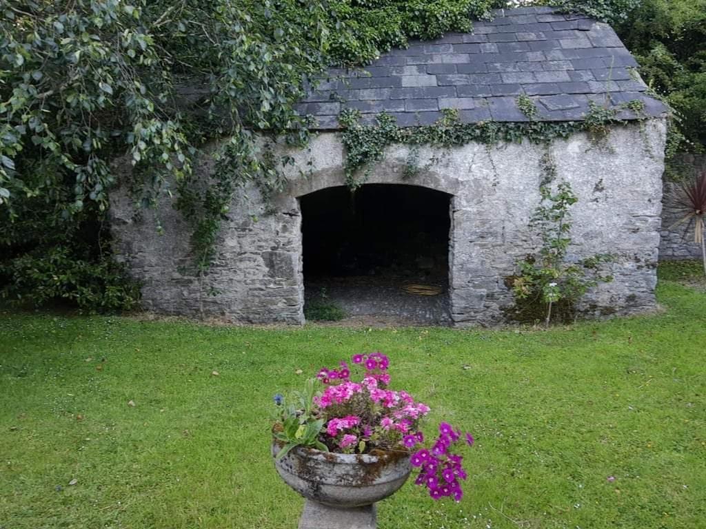 Bed and Breakfast Kilmahon House, P25A973 à Shanagarry Extérieur photo